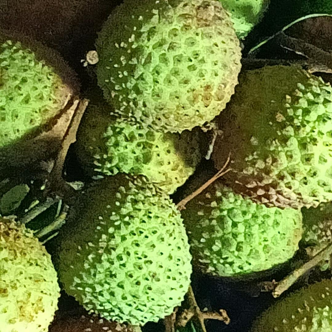 孤独人生