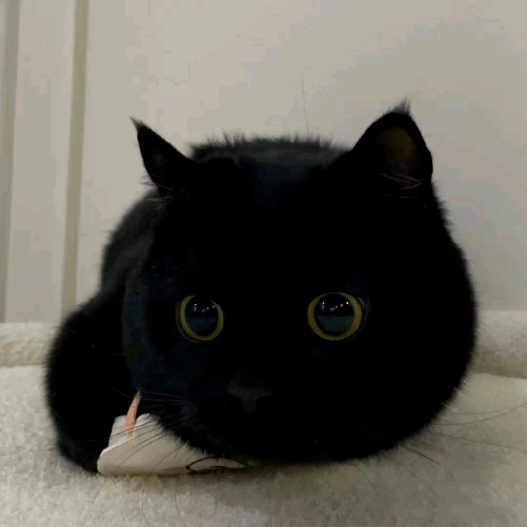 小勇哥