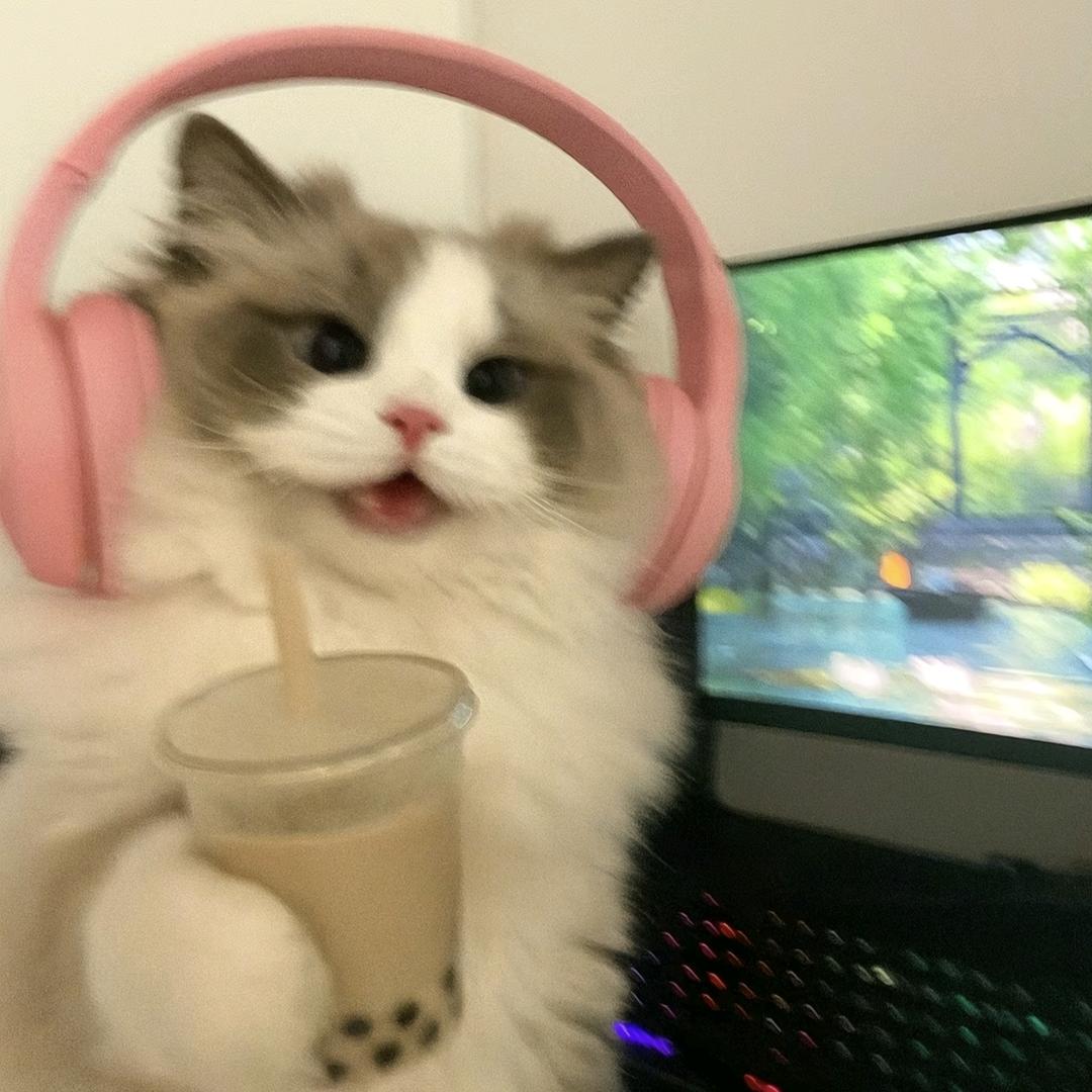 多加香菜不要葱