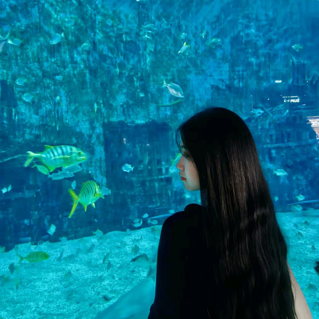 ✨涵子^o^鹅鹅