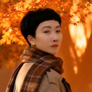 郏县红姐（说媒）