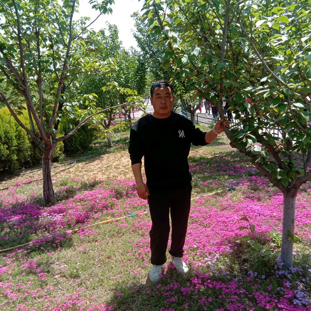 杨孝军头像