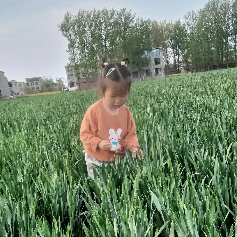 心灰意冷