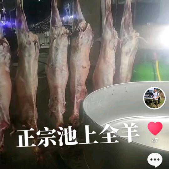 正宗池上全羊郑峰