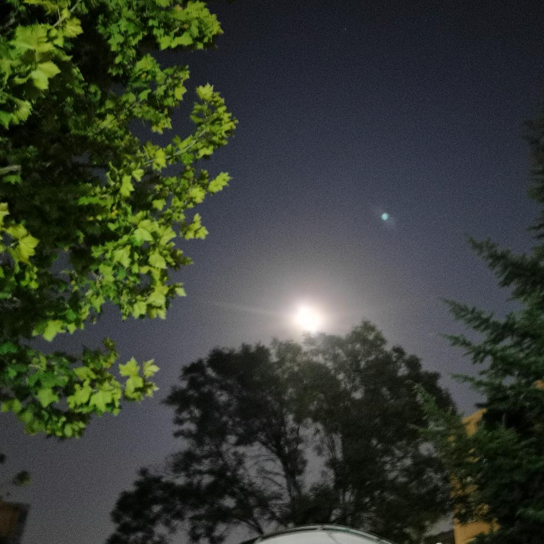 陈靖权