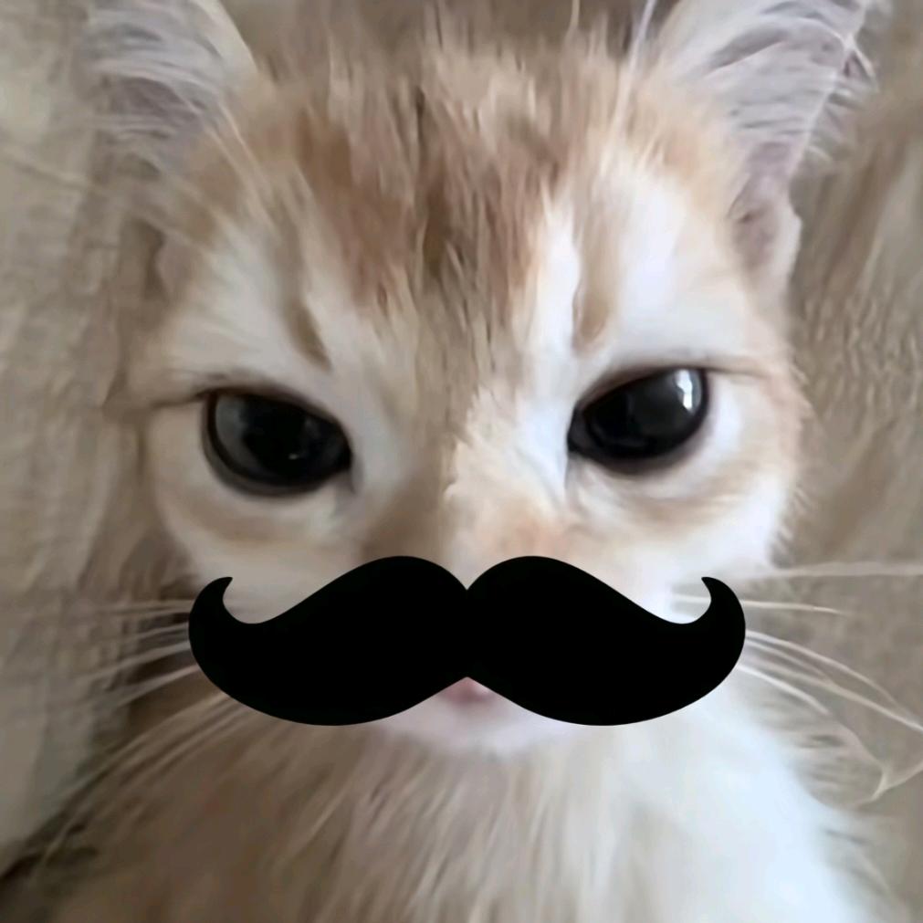 小猫咪的屁股👄👄