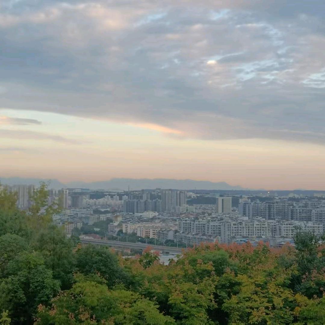 李老师 🍀聊升学