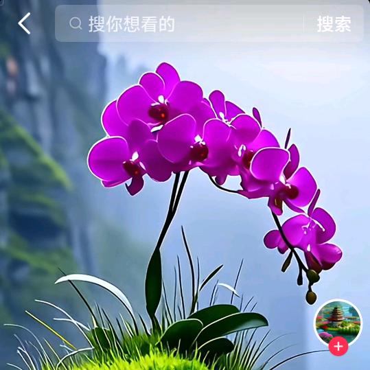 新人小白学抖音