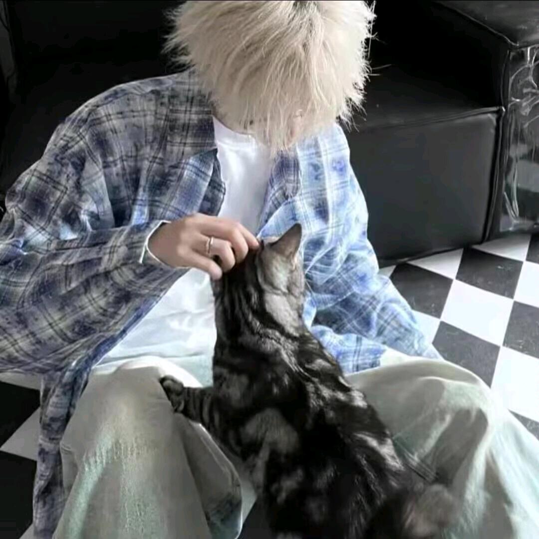 秋枫