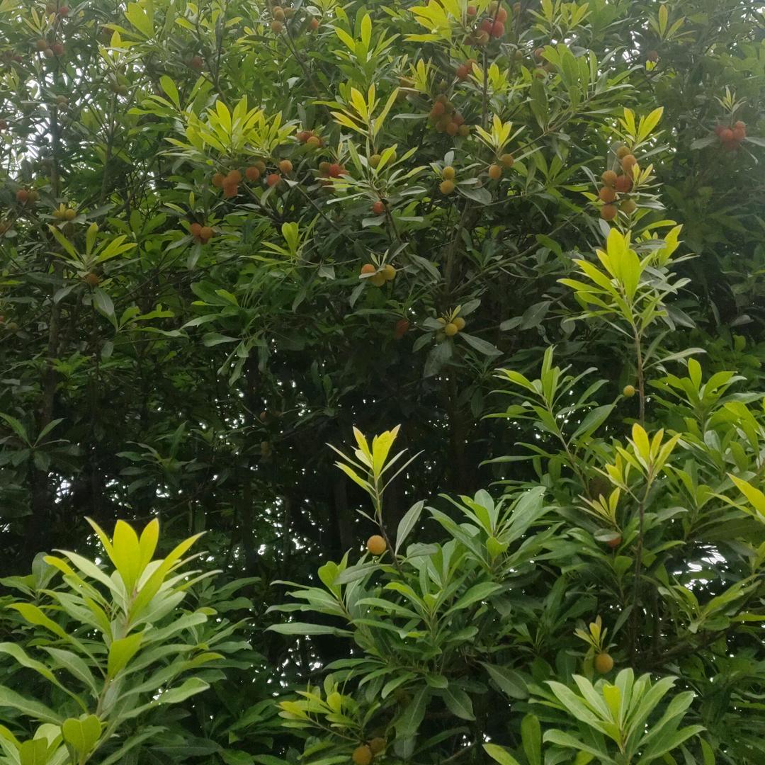 单亲妈妈的无助😤😤😤