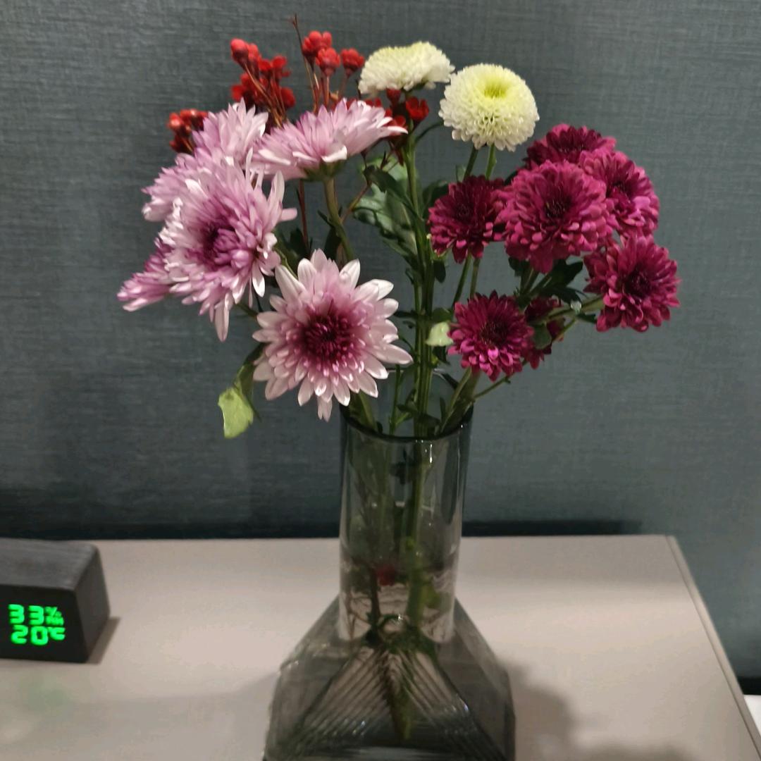 花儿🌺