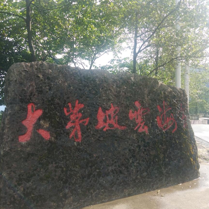 人这一辈子，🌻🌻🌻