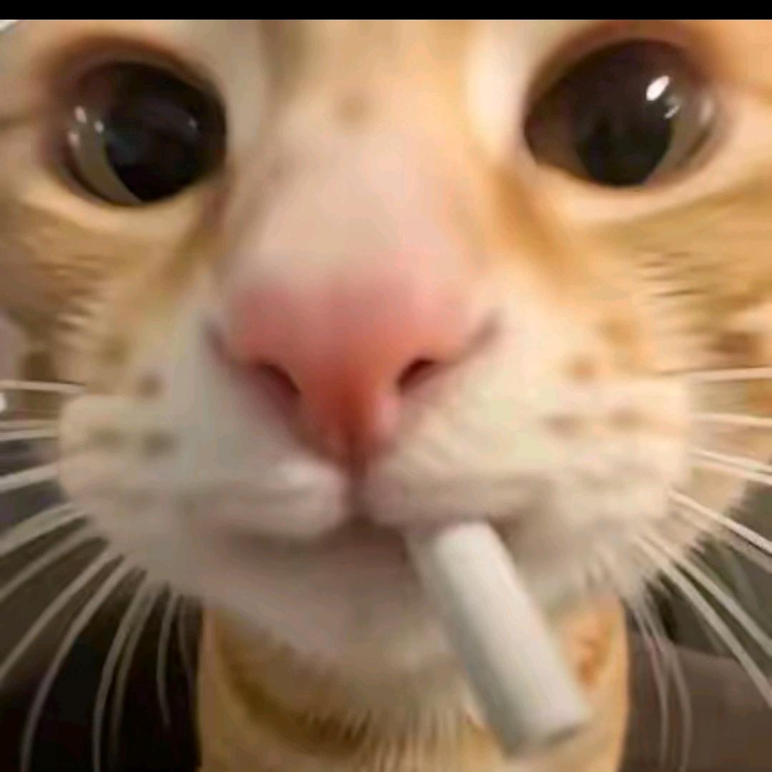 晚垫睡(反迷你)