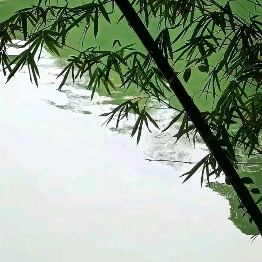 痞子动了情