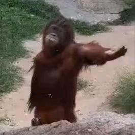 飞奔的鼻涕