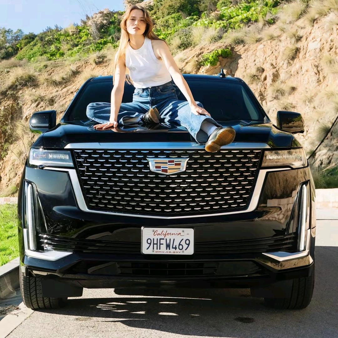 瑞丽市二手车 王友