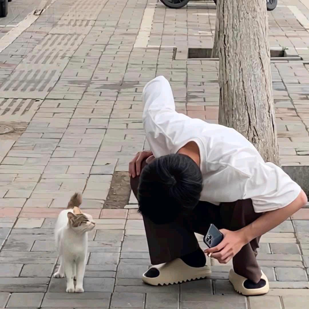 远山日暮