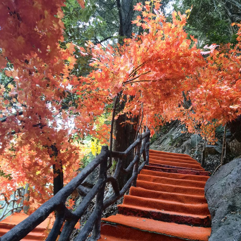 💞不为往事扰🔥只为❤余生笑ঞ᭄