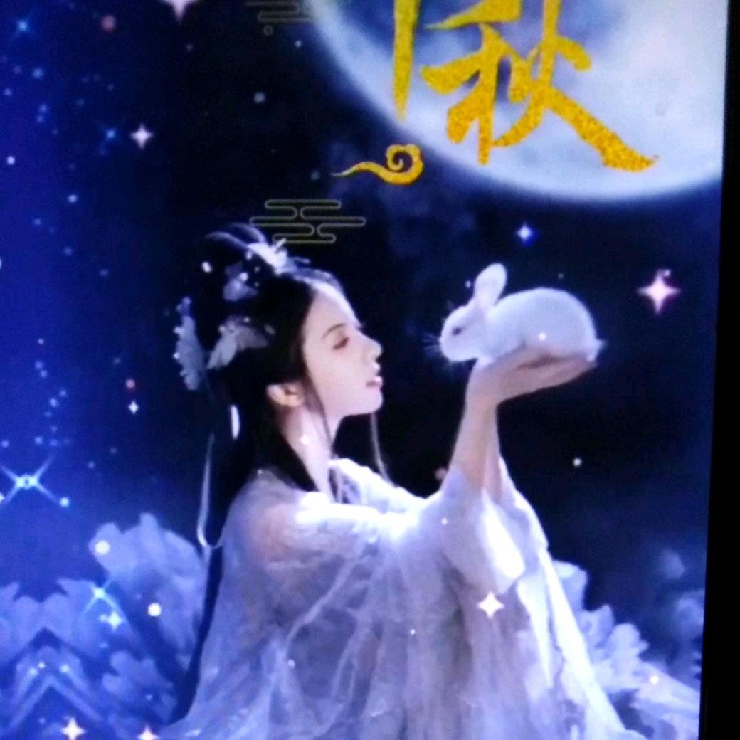 凤城替换姐