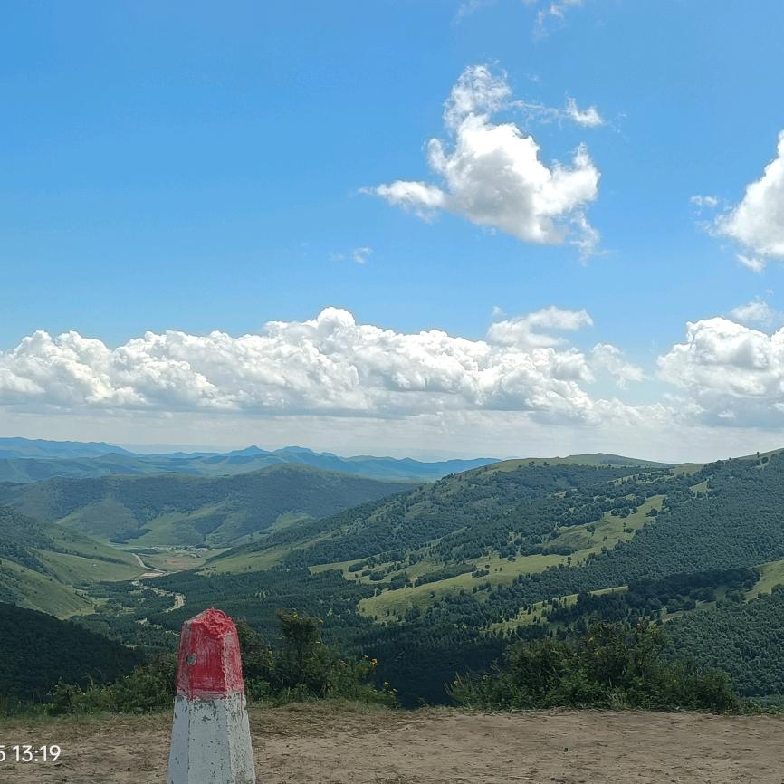 悟空聊投流【ad 本地推】