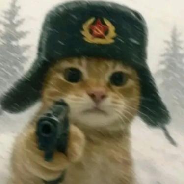 兰坪县骑士之家维修铺