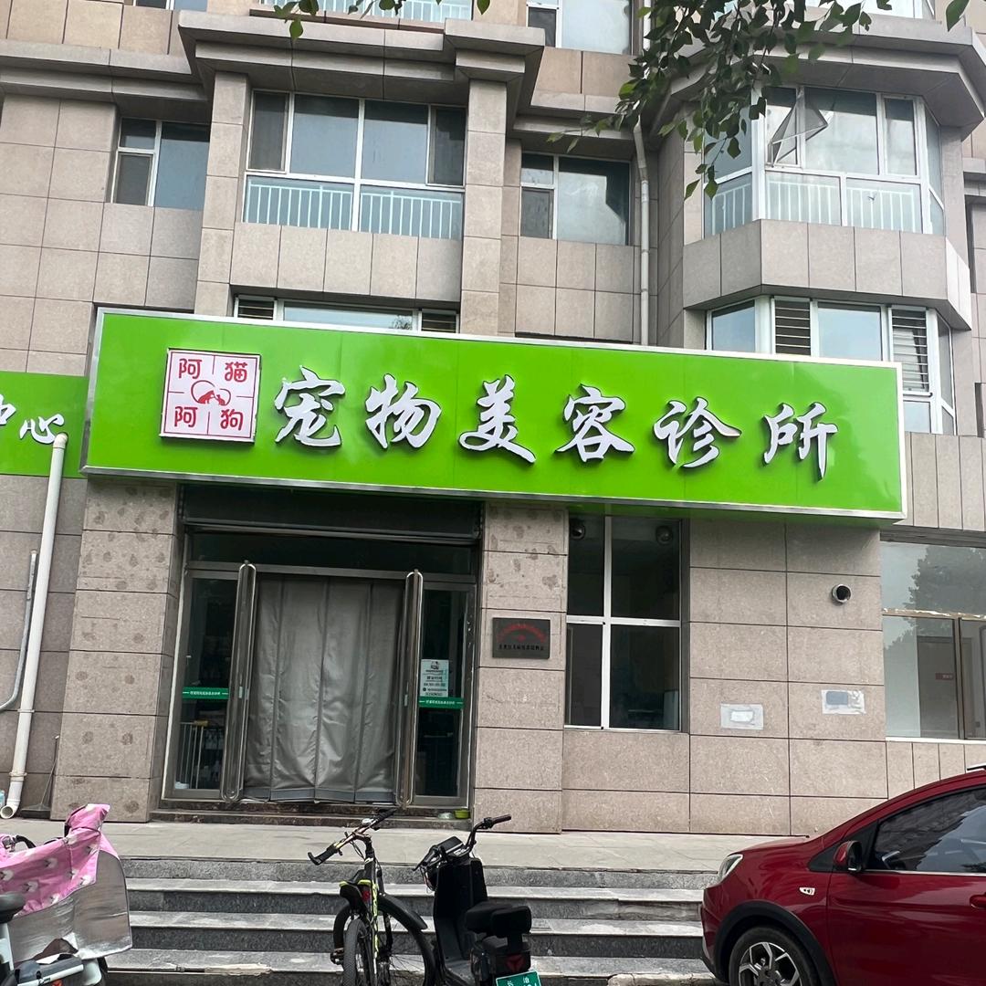 啊猫阿狗宠物