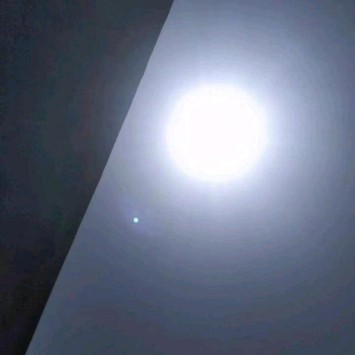 独步、山林