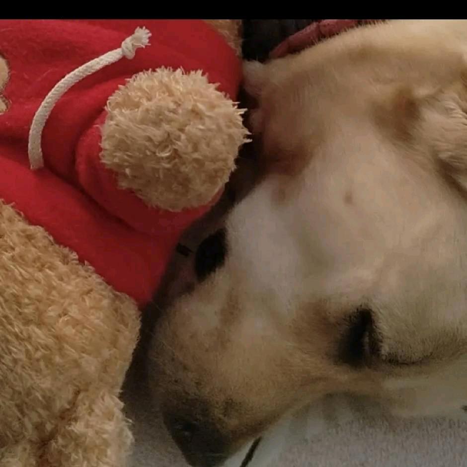 被富婆保养使用卑鄙手段导致身体虚弱的魏某