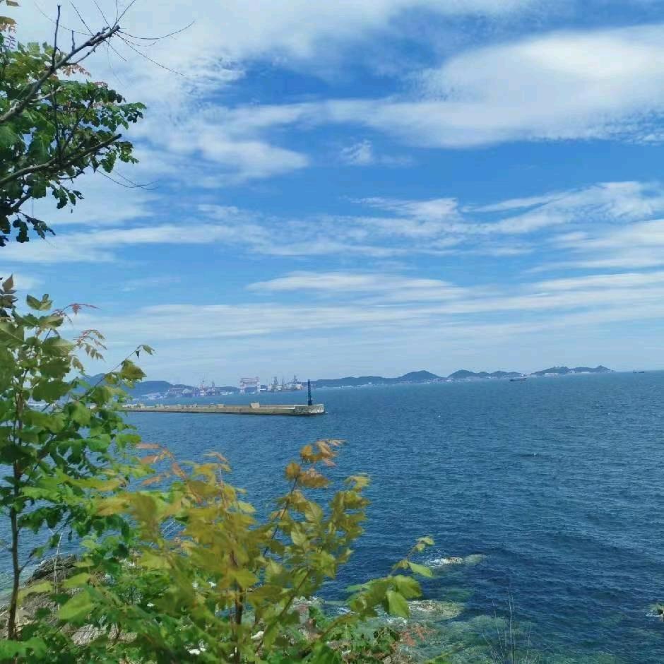 小宸宸