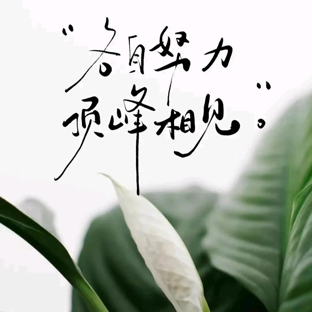 快乐不姓李