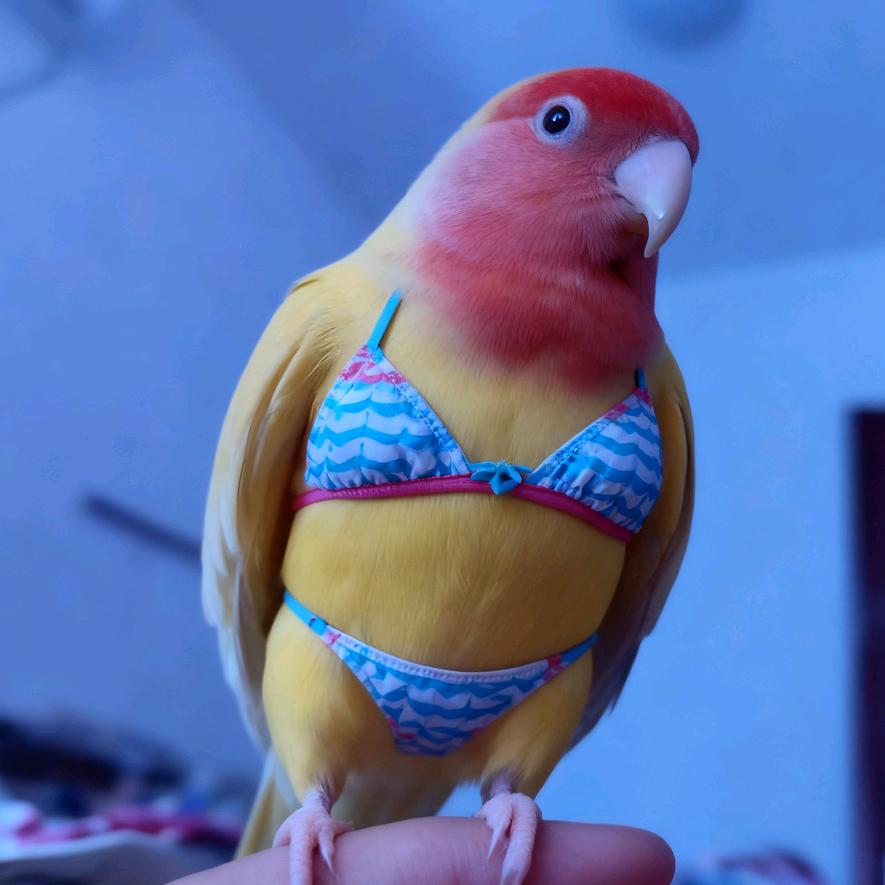 刘.🦜