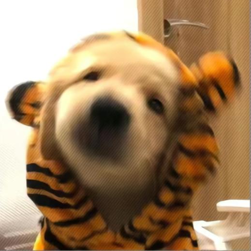 二十三😶‍🌫️