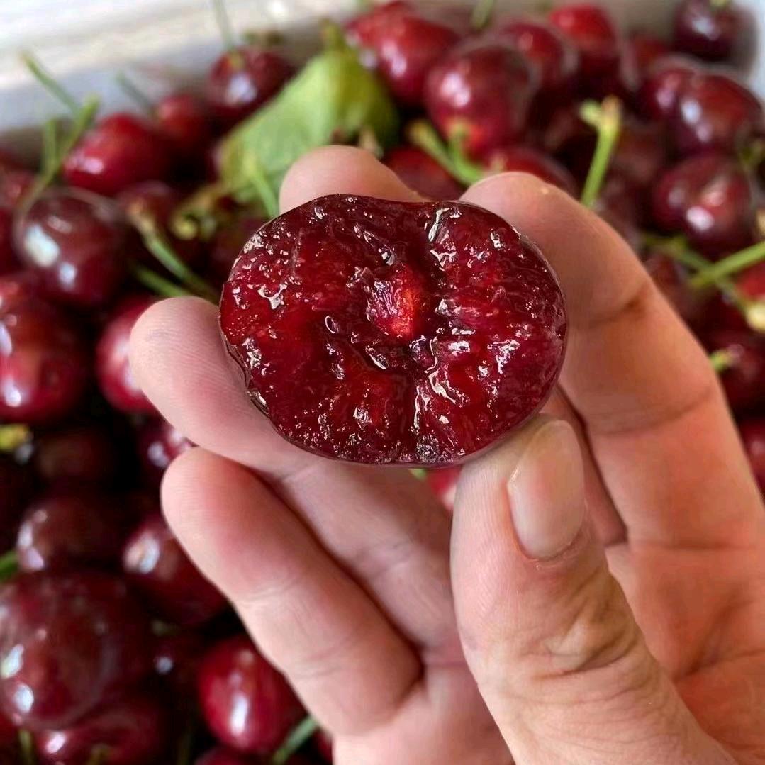 🍒樱桃