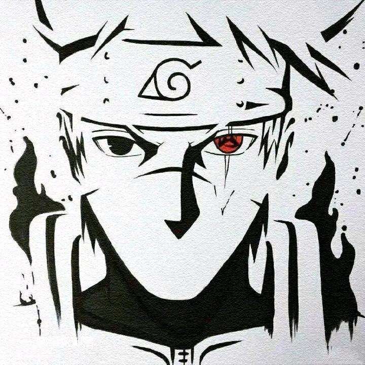 君龙小助理🥩🥩