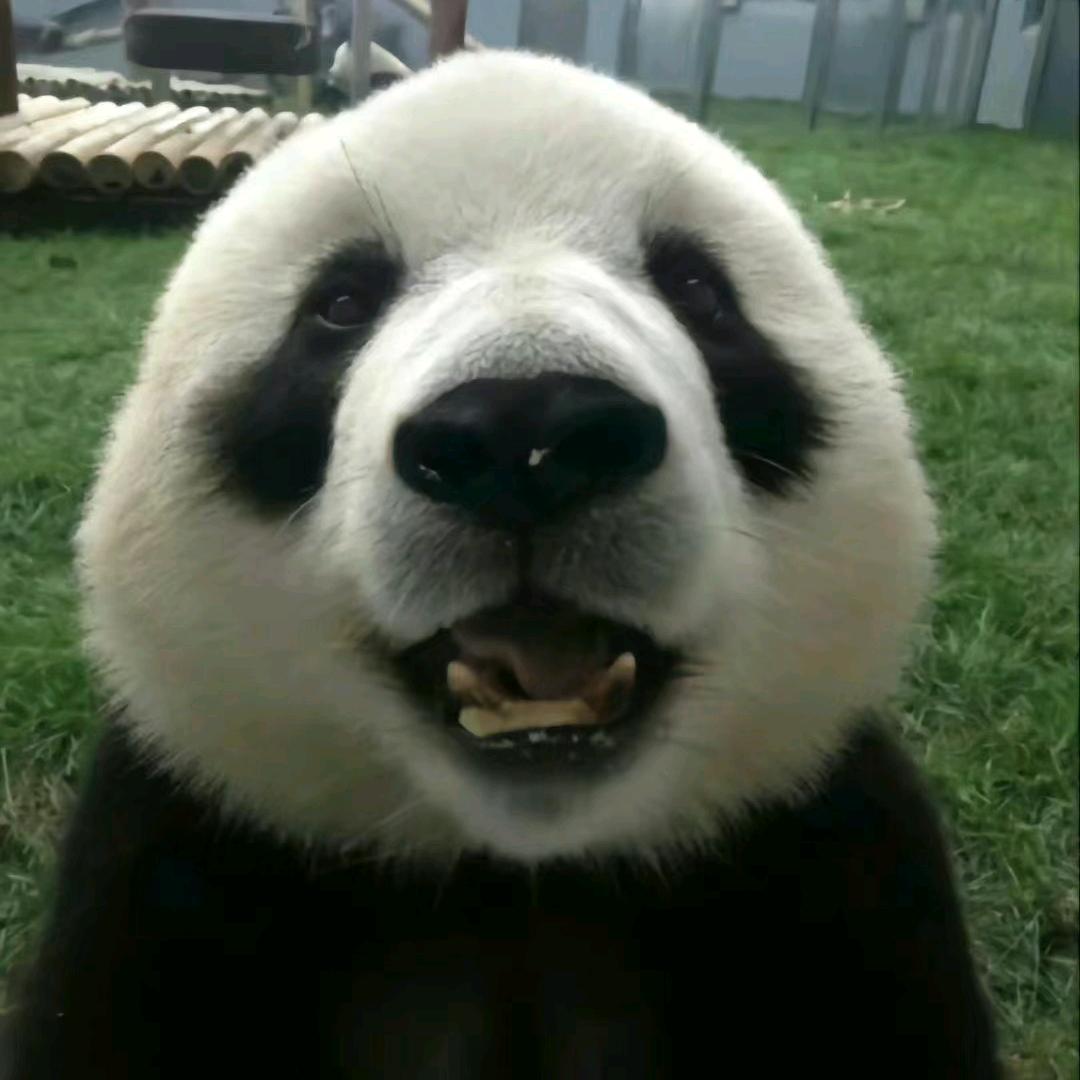 呼呼！