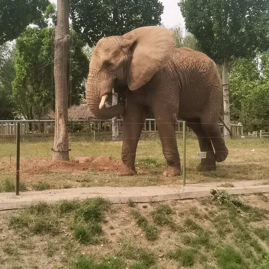 一山一水一包烟，他人不懂其中意，逍遥自在