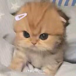 小事