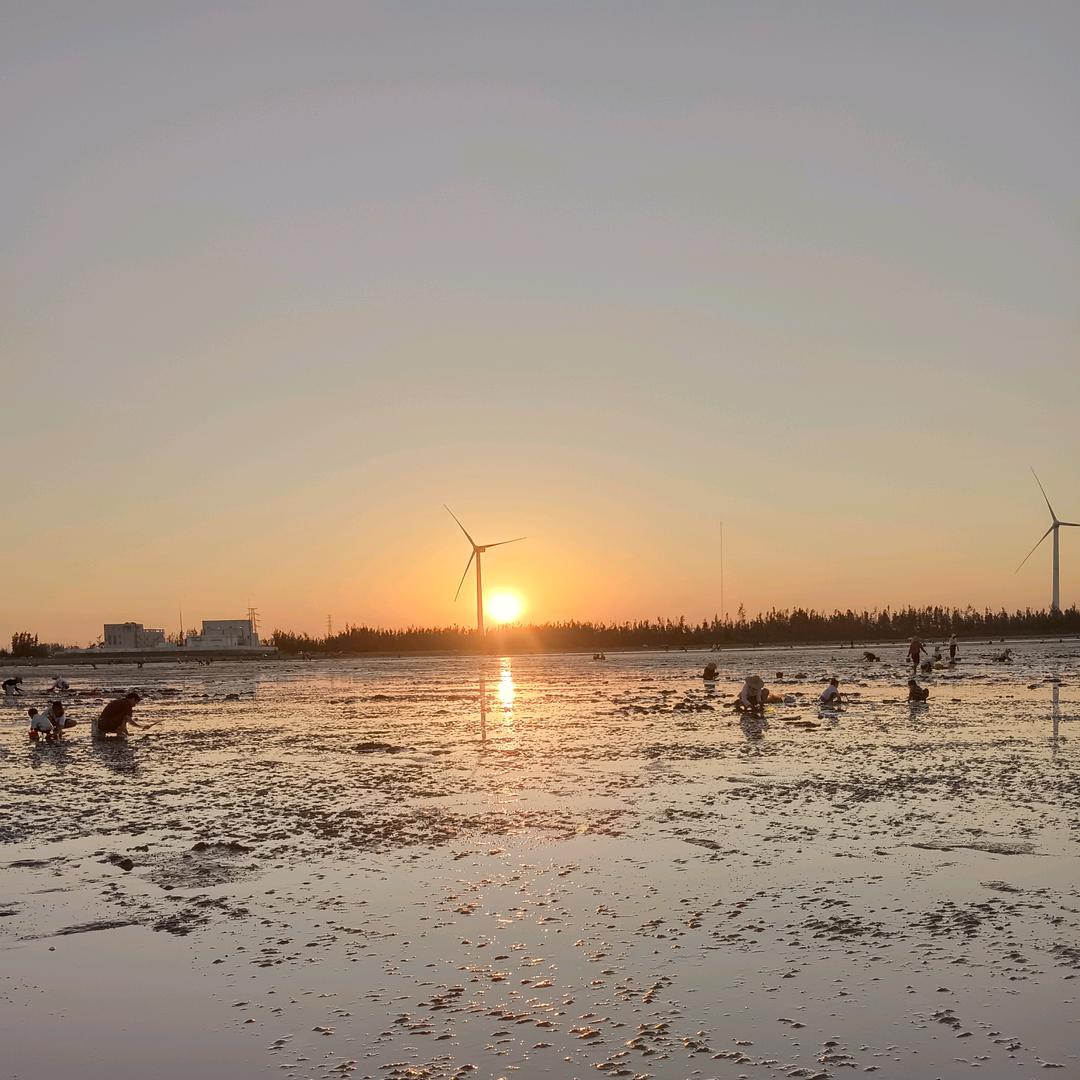 小可爱🌺🌹🌸