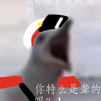 Atian阿甜🕊️