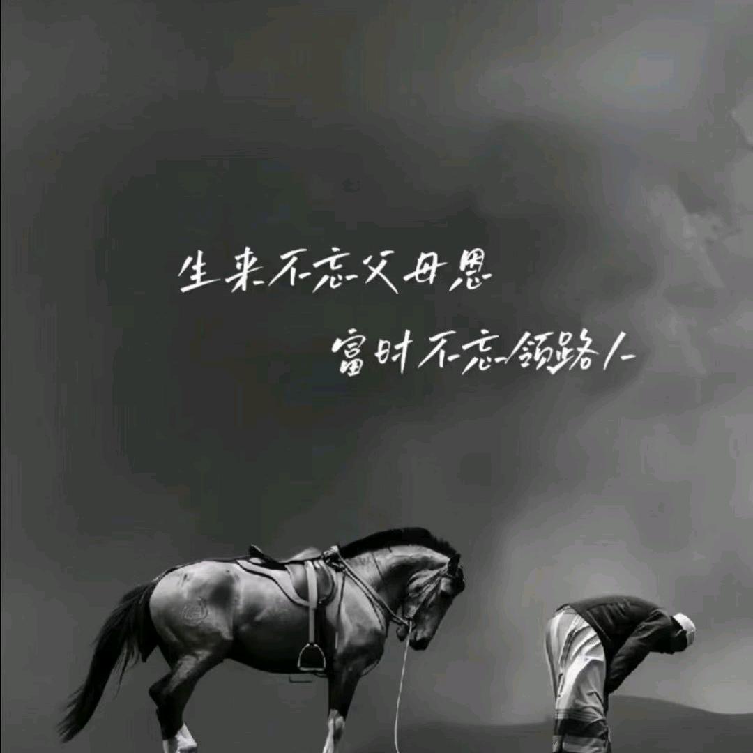 剑指苍穹