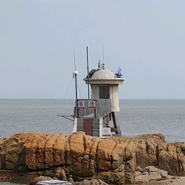 逆流而上的虾米