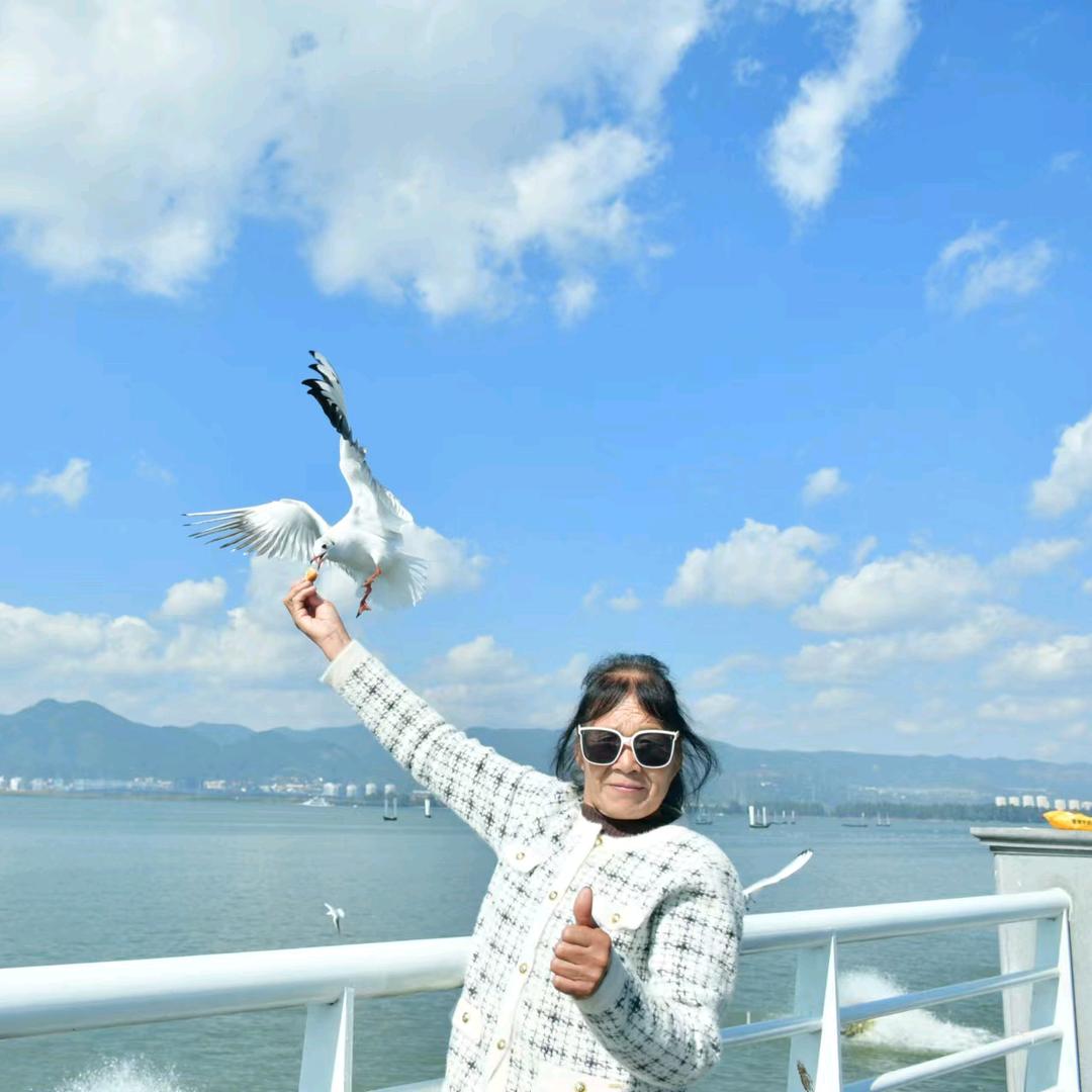 老芹菜的诗和远方