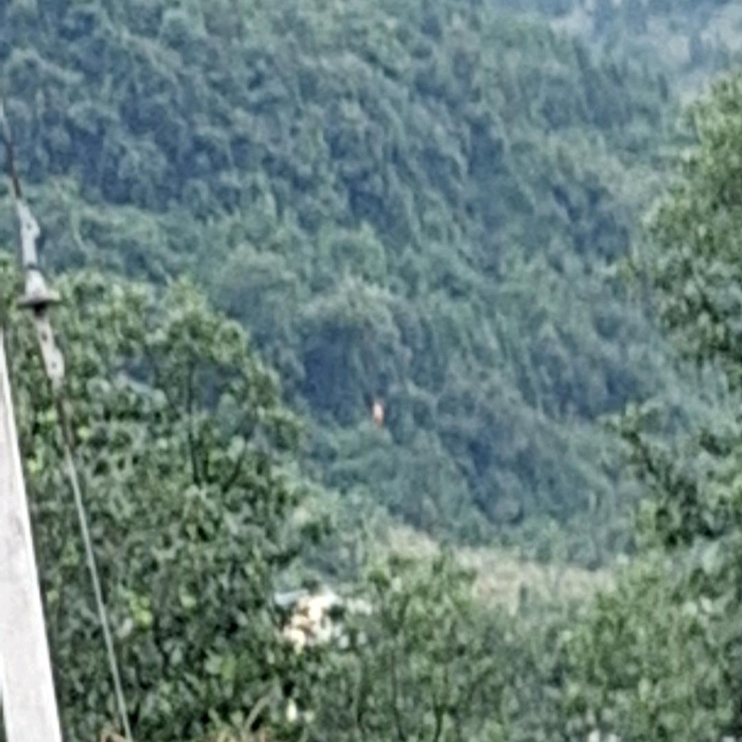 yunnan96034