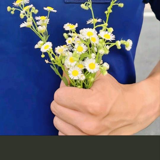 等不到你的晚安