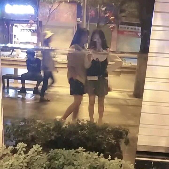 慧