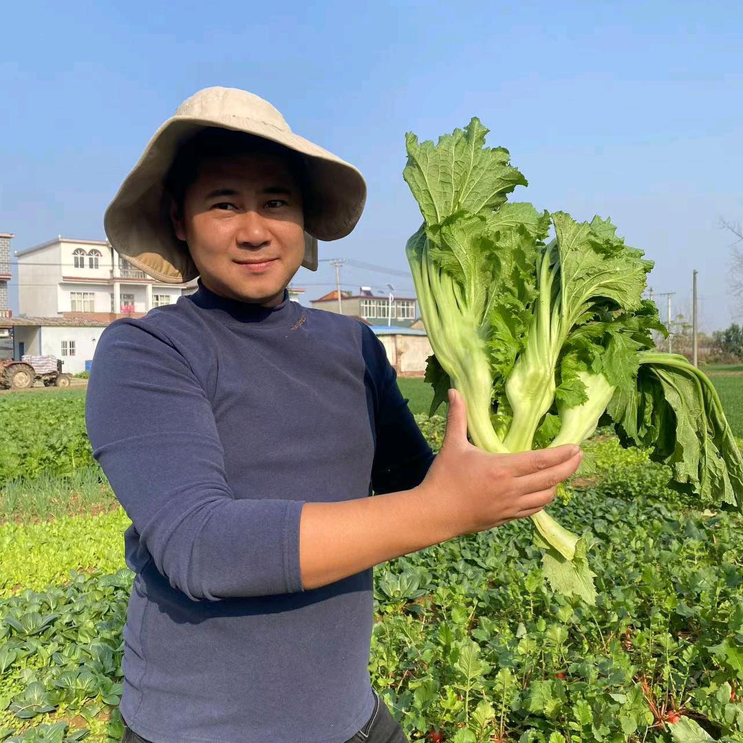 小朱家蔬菜酱香饼（找合作伙伴）