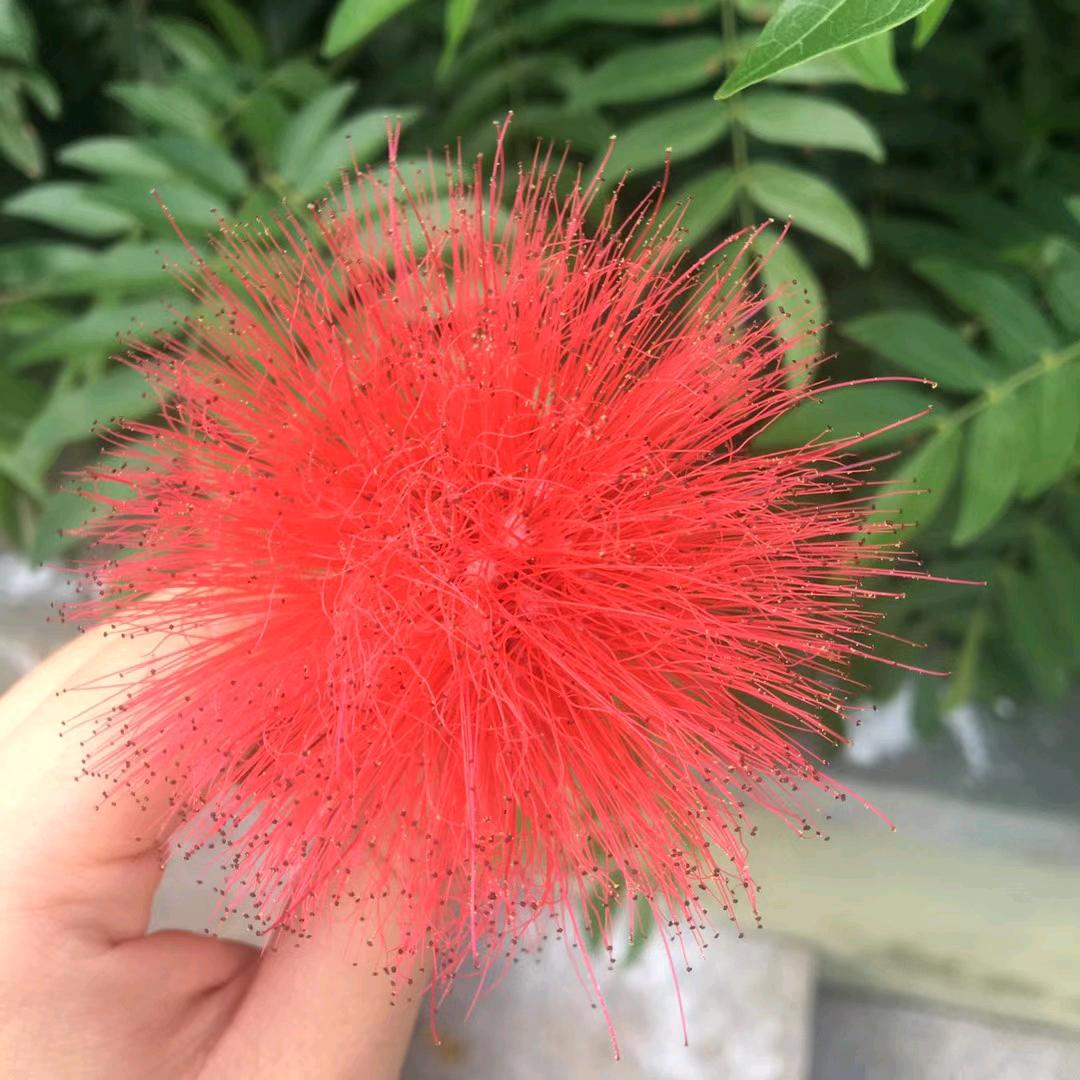 马德里不思议