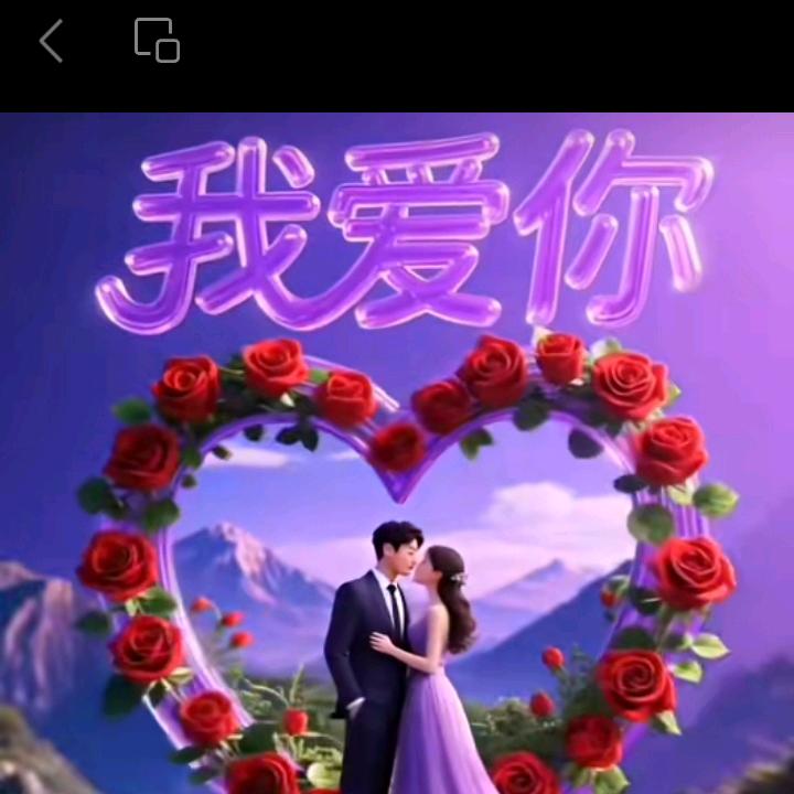 不要迷恋哥