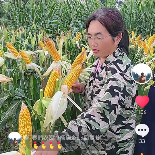 杨庙乡杨马路口陈老师农资