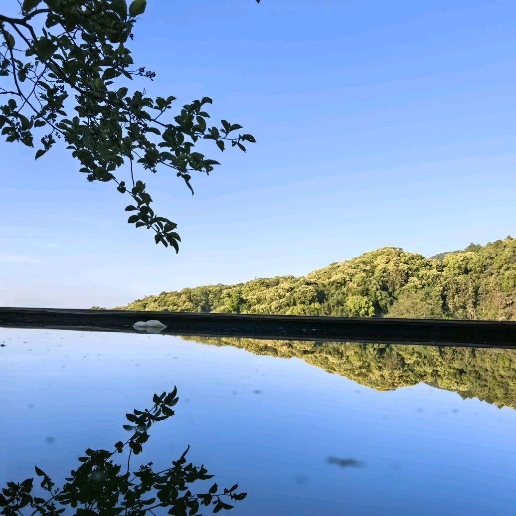 躺在草原数星星